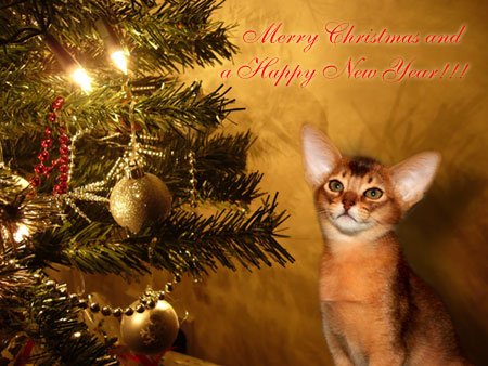 Merry X-mas and Happy New Year!!!